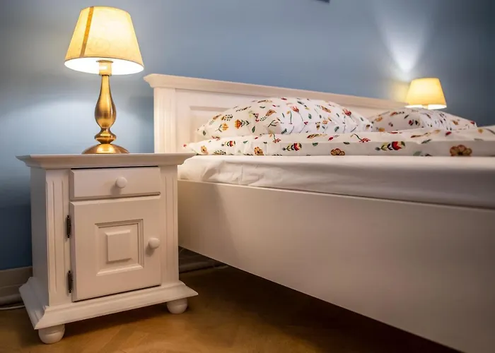 House Apartment Timisoara