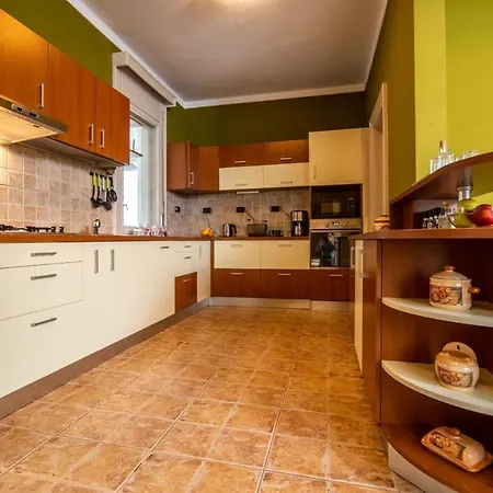 Apartman House Temesvár